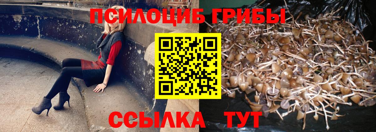 Псилоцибиновые грибы Magic Shrooms Кубинка