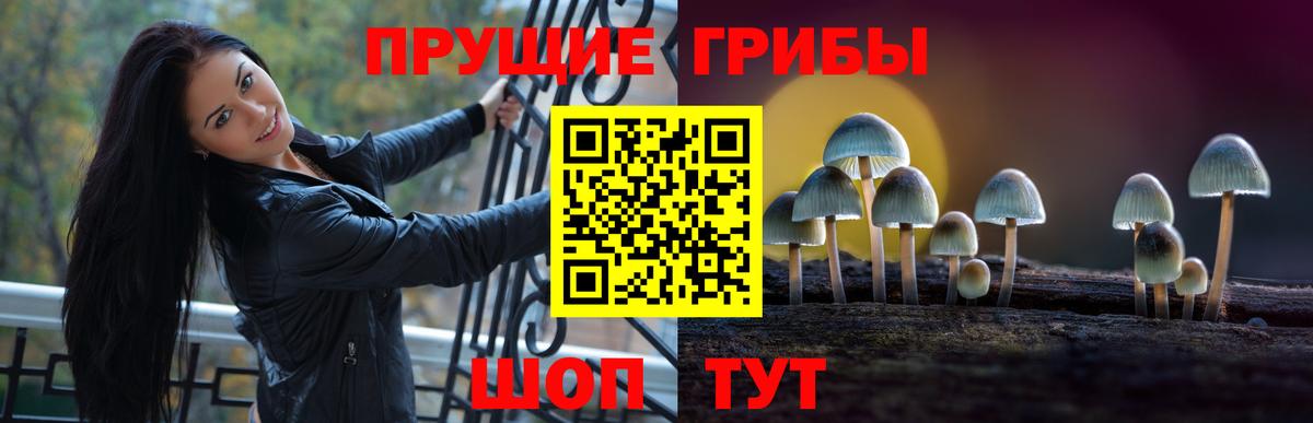 Псилоцибиновые грибы Psilocybine cubensis  Вход с VPN  Кубинка  Галлюциногенные грибы MAGIC MUSHROOMS 